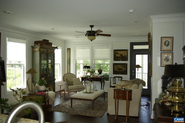2008 Avinity Loop, Charlottesville, VA 22902 - living area featuring a ceiling fan, healthy amount of natural light, hardwood / wood-style flooring, and ornamental molding