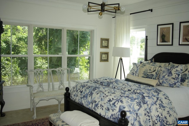 2008 Avinity Loop, Charlottesville, VA 22902 - bedroom featuring multiple windows, a chandelier, and ornamental molding