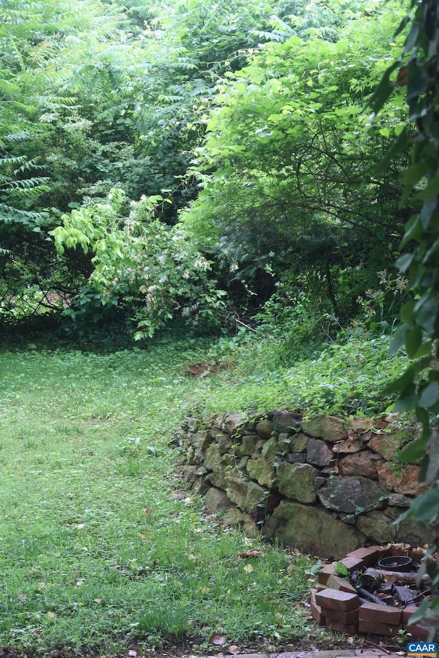 618 S 1st St, Charlottesville, VA 22902 - view of local wilderness