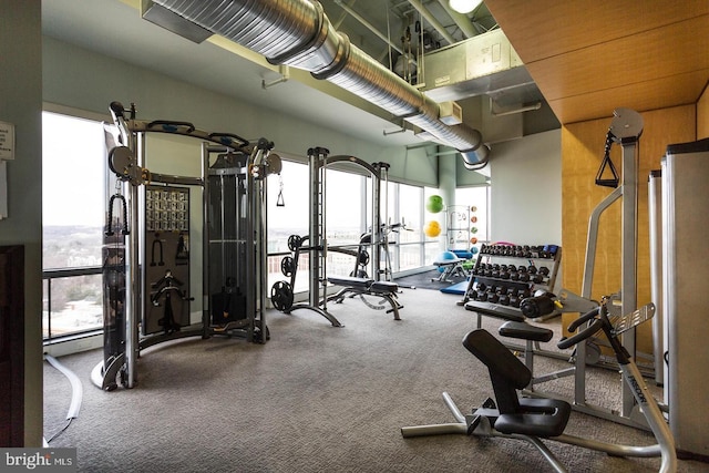2001 15th St N Unit 319, Arlington, VA 22201 - exercise room featuring carpet