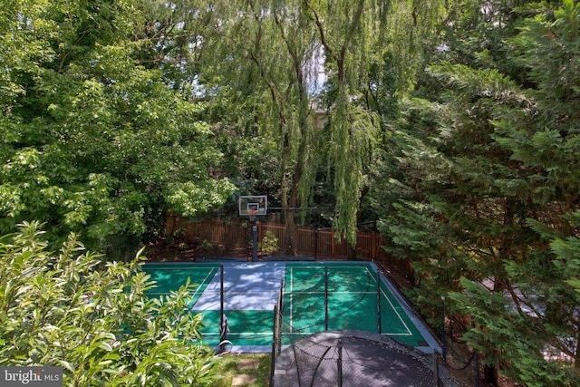 1829 47th Pl NW, Washington, DC 20007 - view of sport court