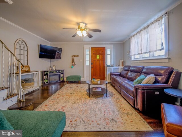 121 Wayne Ave, Springfield, PA 19064 - living room featuring wood finished floors, ceiling fan, and ornamental molding