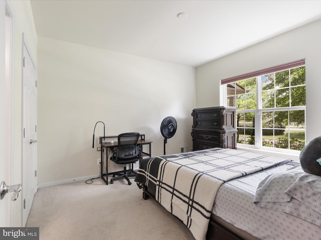 43559 Wheadon Ter, Chantilly, VA 20152 - carpeted bedroom with baseboards