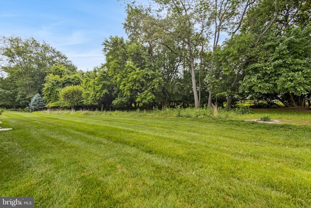 343 Daylilly Way, Middletown, DE 19709 - view of grassy yard