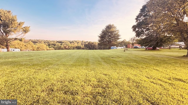 2323 Flag Marsh, Mount Airy, MD 21771 - view of grassy yard