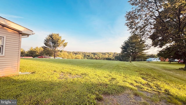 2323 Flag Marsh, Mount Airy, MD 21771 - view of green lawn
