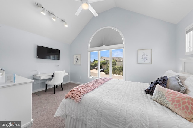 44 Harbor Ln, Long Beach Township, NJ 08008 - bedroom featuring carpet floors, lofted ceiling, multiple windows, and track lighting