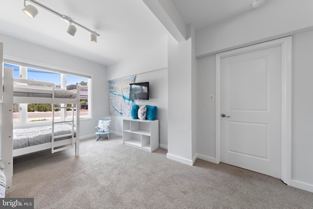 44 Harbor Ln, Long Beach Township, NJ 08008 - carpeted bedroom featuring baseboards and rail lighting