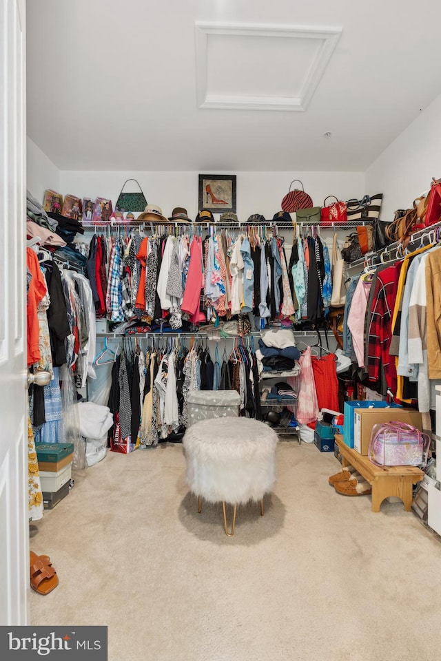12606 Rosencrans Dr, Hagerstown, MD 21740 - walk in closet with attic access and carpet floors