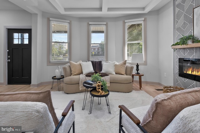 3708 Fairview Ave, Baltimore, MD 21216 - living room featuring light wood finished floors, a fireplace, and coffered ceiling