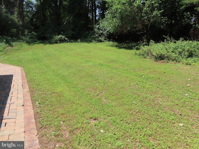 863 Yorklyn Rd, Hockessin, DE 19707 - view of green lawn