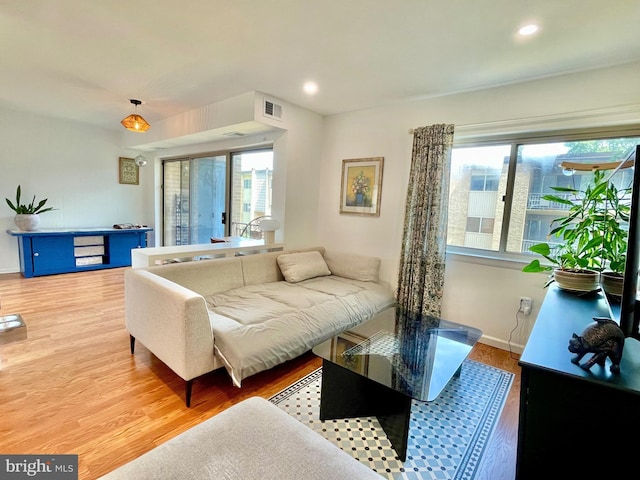 12207 Academy Way Unit 149 7, Rockville, MD 20852 - living area with plenty of natural light, light wood-type flooring, and recessed lighting