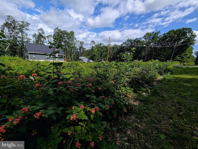 22262 Deer Run, Shade Gap, PA 17255 - view of yard