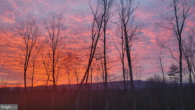 22262 Deer Run, Shade Gap, PA 17255 - view of nature at dusk