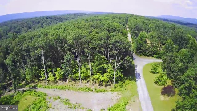 22262 Deer Run, Shade Gap, PA 17255 - drone / aerial view of a forest