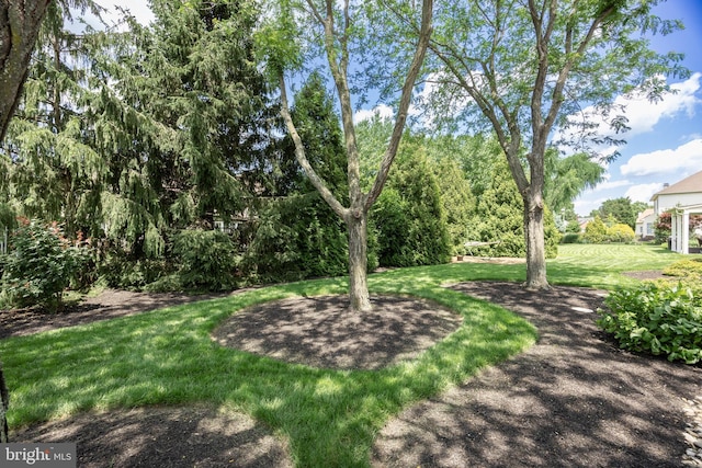 62 Brooks Rd, Moorestown, NJ 08057 - view of grassy yard