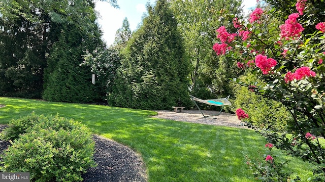 62 Brooks Rd, Moorestown, NJ 08057 - view of green lawn