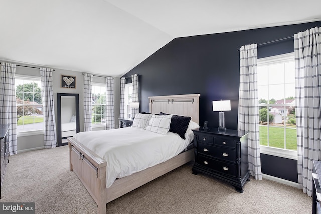 107 Heathfield Ct, Middletown, DE 19709 - bedroom featuring lofted ceiling and light carpet