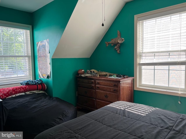 210 W Walnut St, Marietta, PA 17547 - carpeted bedroom with lofted ceiling