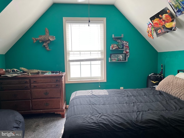 210 W Walnut St, Marietta, PA 17547 - bedroom with vaulted ceiling, carpet floors, and multiple windows