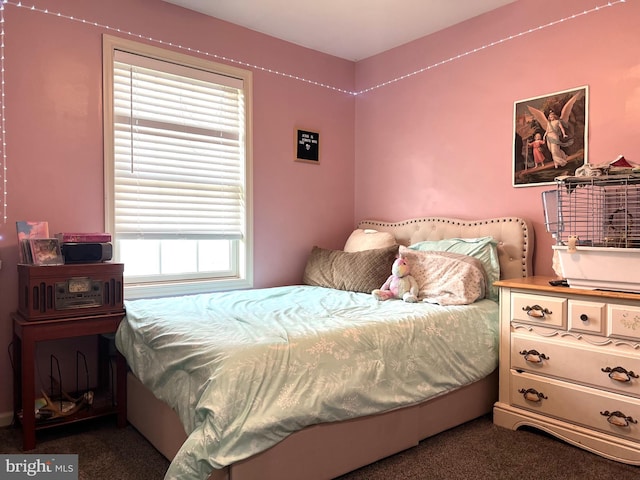 210 W Walnut St, Marietta, PA 17547 - bedroom with carpet floors