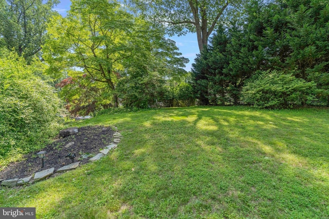 803 Libby Ln, Langhorne, PA 19053 - view of grassy yard featuring a view of trees
