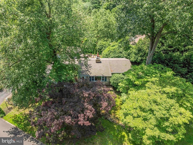 803 Libby Ln, Langhorne, PA 19053 - view from above of property with a heavily wooded area