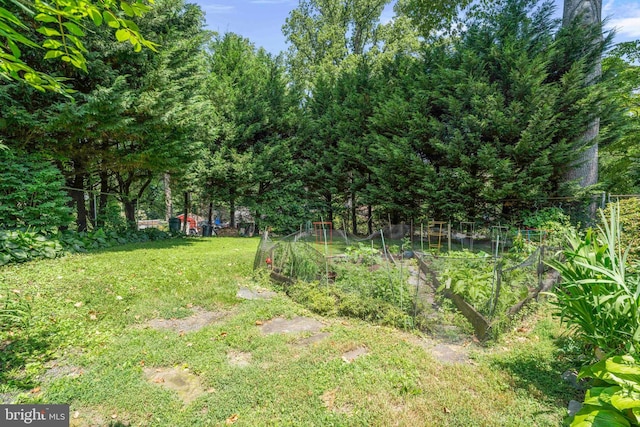 803 Libby Ln, Langhorne, PA 19053 - view of yard featuring a vegetable garden