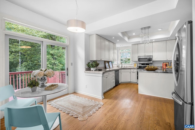 1433 River Oaks Rdg, Charlottesville, VA 22901 - kitchen featuring stainless steel appliances, light wood-type flooring, white cabinetry, a raised ceiling, and recessed lighting