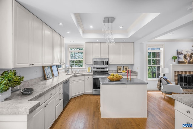 1433 River Oaks Rdg, Charlottesville, VA 22901 - kitchen featuring stainless steel appliances, ornamental molding, white cabinets, light wood-style flooring, and a tray ceiling