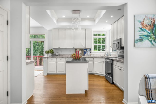 1433 River Oaks Rdg, Charlottesville, VA 22901 - kitchen featuring stainless steel appliances, a tray ceiling, wood finished floors, white cabinetry, and crown molding