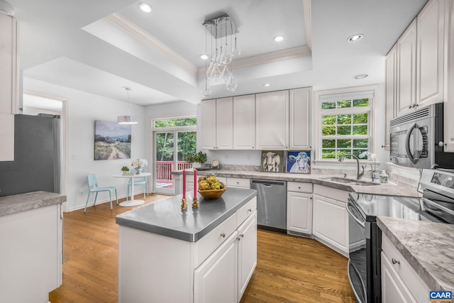 1433 River Oaks Rdg, Charlottesville, VA 22901 - kitchen with stainless steel appliances, a tray ceiling, crown molding, healthy amount of natural light, and white cabinets
