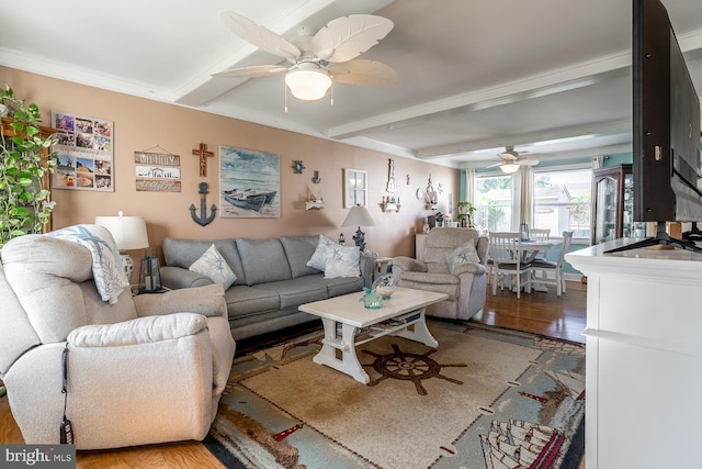 24 Paul Rd, Maple Shade, NJ 08052 - living area featuring a ceiling fan, beamed ceiling, light wood-style floors, and crown molding