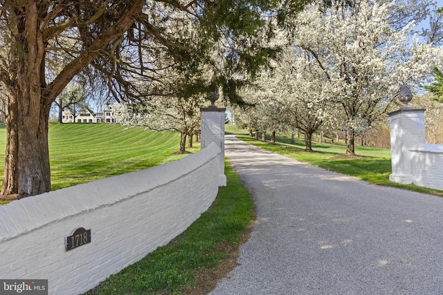 1718 Greenspring Valley Rd, Stevenson, MD 21153 - view of asphalt road