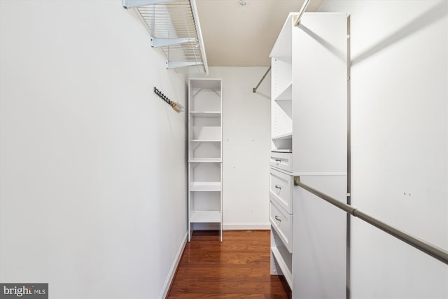 4163 S Four Mile Run Dr Unit 401, Arlington, VA 22204 - walk in closet featuring dark wood-style floors