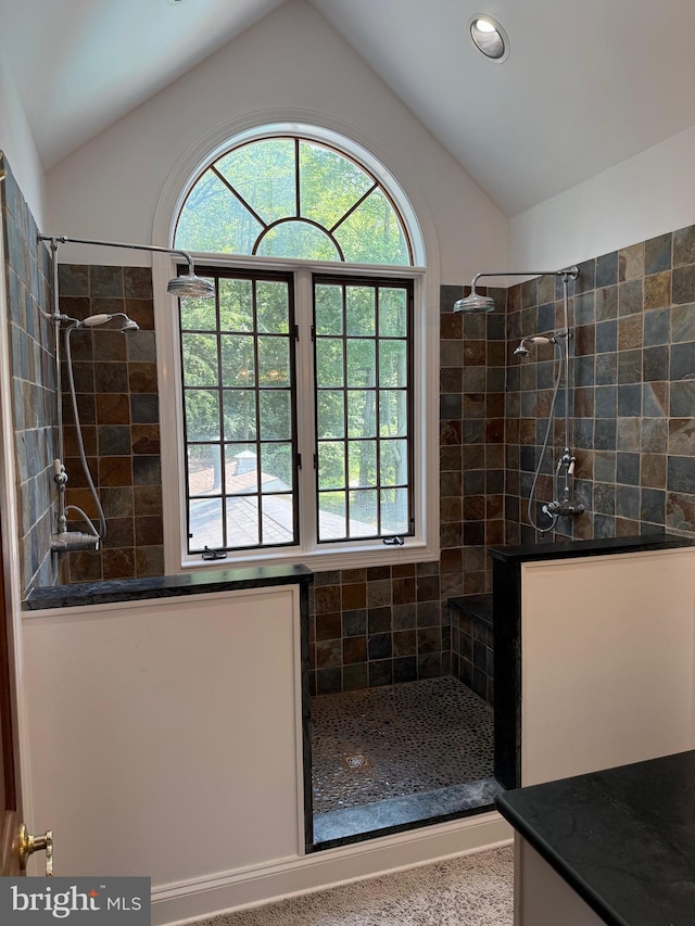 7071 Pomona Rd, Chestertown, MD 21620 - bathroom with walk in shower, vaulted ceiling, healthy amount of natural light, and recessed lighting