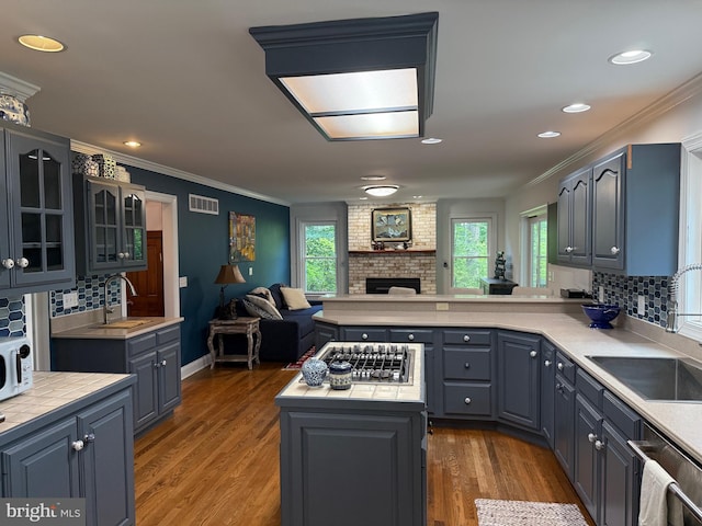 7071 Pomona Rd, Chestertown, MD 21620 - kitchen with open floor plan, appliances with stainless steel finishes, crown molding, light countertops, and tasteful backsplash