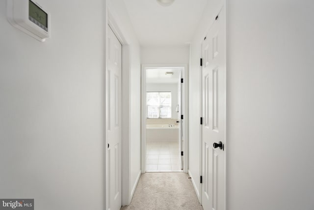 17 Saint Claires Ct, Stafford, VA 22556 - hall featuring carpet floors and baseboards