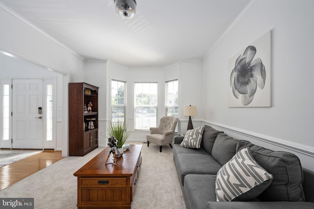 17 Saint Claires Ct, Stafford, VA 22556 - living area featuring ornamental molding, carpet, and wood finished floors