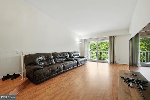 20315 Beaconfield Ter Unit 202, Germantown, MD 20874 - living area featuring wood finished floors and lofted ceiling