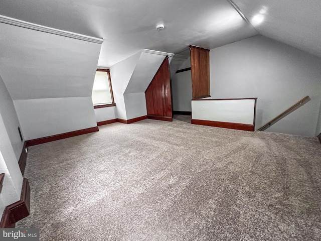 171 N York St, Pottstown, PA 19464 - additional living space featuring vaulted ceiling and carpet flooring