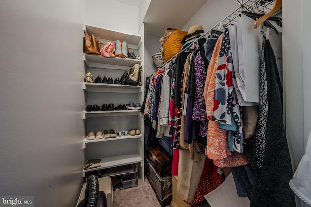 1000 Fountanview Cir, Newark, DE 19713 - spacious closet with carpet