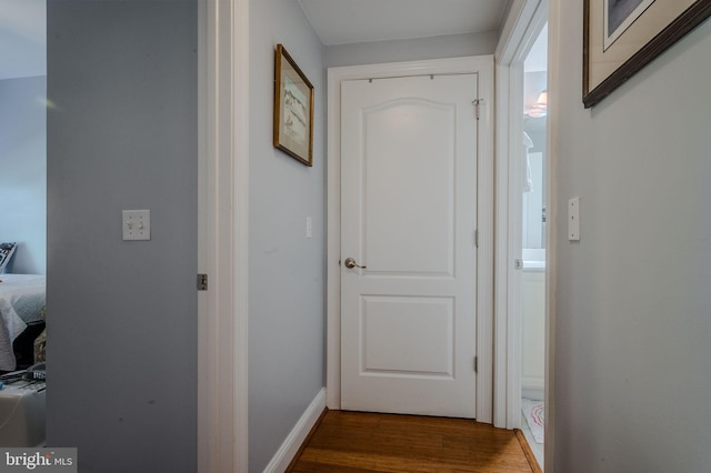 1000 Fountanview Cir, Newark, DE 19713 - corridor with wood finished floors and baseboards