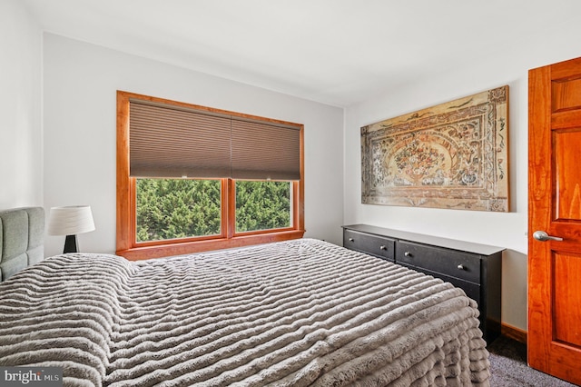1802 Disney Estates Cir, Severn, MD 21144 - view of carpeted bedroom
