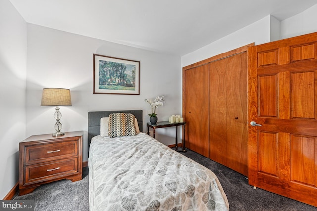 1802 Disney Estates Cir, Severn, MD 21144 - bedroom with dark colored carpet and a closet