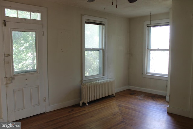 1628 River Rd, Upper Black Eddy, PA 18972 - entryway featuring radiator, ceiling fan, and wood finished floors