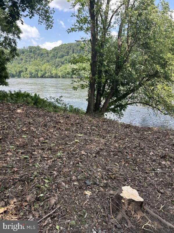 1628 River Rd, Upper Black Eddy, PA 18972 - water view featuring a forest