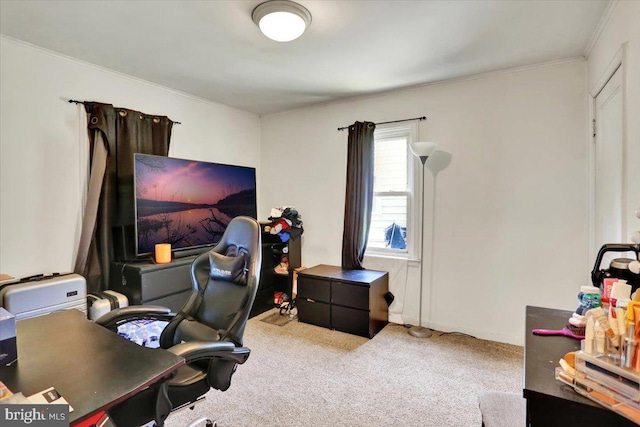 30 N Dwight St, Reading, PA 19609 - office with carpet and ornamental molding