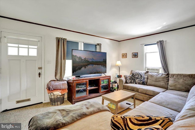 30 N Dwight St, Reading, PA 19609 - living room featuring crown molding and carpet flooring