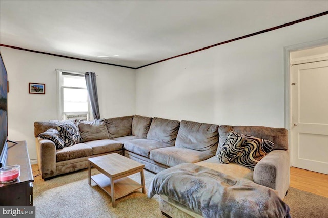 30 N Dwight St, Reading, PA 19609 - living room featuring crown molding and wood finished floors